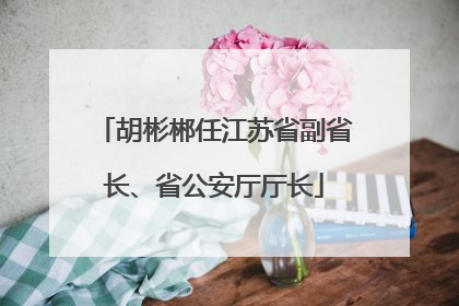 胡彬郴任江苏省副省长、省公安厅厅长