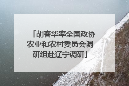 胡春华率全国政协农业和农村委员会调研组赴辽宁调研