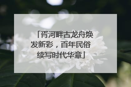 胥河畔古龙舟焕发新彩，百年民俗续写时代华章