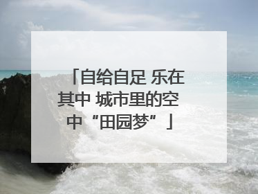 自给自足 乐在其中 城市里的空中“田园梦”