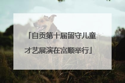 自贡第十届留守儿童才艺展演在富顺举行