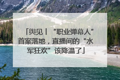 舆见丨“职业弹幕人”首案落地，直播间的“水军狂欢”该降温了