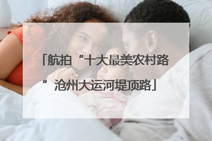 航拍“十大最美农村路”沧州大运河堤顶路