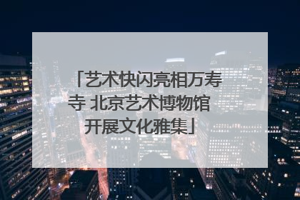 艺术快闪亮相万寿寺 北京艺术博物馆开展文化雅集