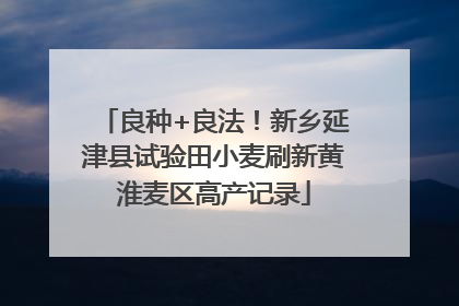 良种+良法！新乡延津县试验田小麦刷新黄淮麦区高产记录