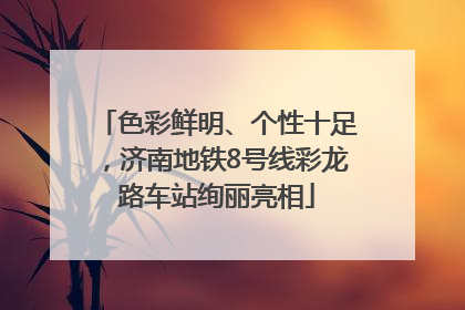 色彩鲜明、个性十足，济南地铁8号线彩龙路车站绚丽亮相