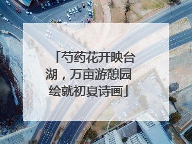 芍药花开映台湖，万亩游憩园绘就初夏诗画