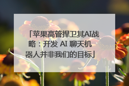 苹果高管捍卫其AI战略：开发 AI 聊天机器人并非我们的目标