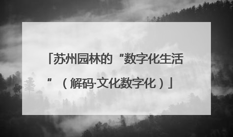 苏州园林的“数字化生活”（解码·文化数字化）