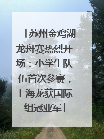 苏州金鸡湖龙舟赛热烈开场：小学生队伍首次参赛，上海龙获国际组冠亚军