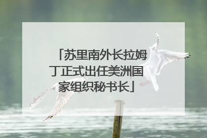 苏里南外长拉姆丁正式出任美洲国家组织秘书长