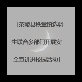 茶陵县秩堂镇选调生联合多部门开展安全宣讲进校园活动