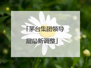 茅台集团领导层最新调整