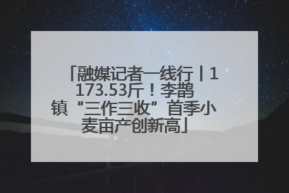 融媒记者一线行丨1173.53斤！李鹊镇“三作三收”首季小麦亩产创新高