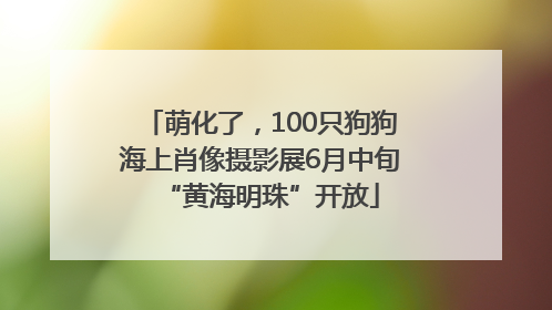 萌化了，100只狗狗海上肖像摄影展6月中旬“黄海明珠”开放