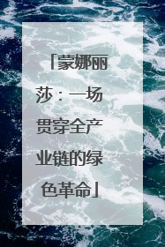 蒙娜丽莎：一场贯穿全产业链的绿色革命