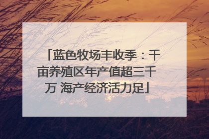 蓝色牧场丰收季：千亩养殖区年产值超三千万 海产经济活力足