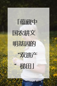 蕴藏中国农耕文明基因的“双遗产”梯田