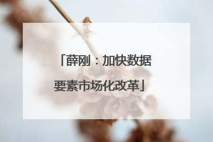 薛刚：加快数据要素市场化改革