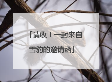 请收！一封来自雪豹的邀请函