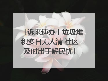 诉来速办丨垃圾堆积多日无人清 社区及时出手解民忧