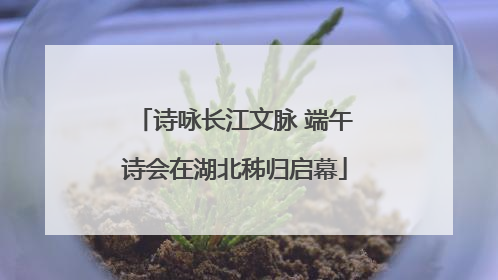 诗咏长江文脉 端午诗会在湖北秭归启幕