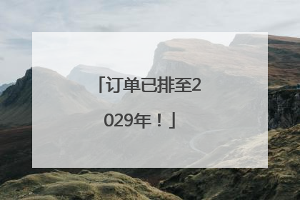 订单已排至2029年！