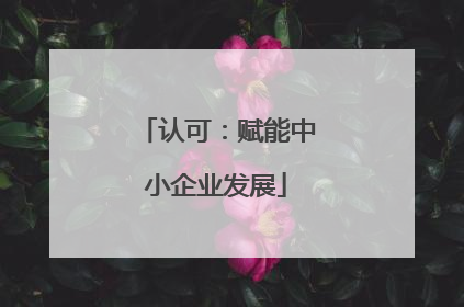 认可：赋能中小企业发展