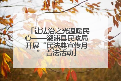 让法治之光温暖民心——溆浦县民政局开展“民法典宣传月” 普法活动