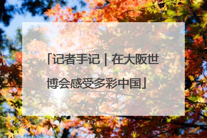 记者手记｜在大阪世博会感受多彩中国