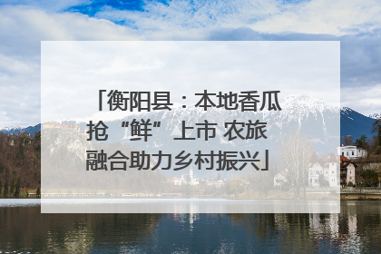 衡阳县：本地香瓜抢“鲜”上市 农旅融合助力乡村振兴