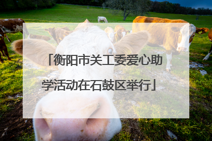 衡阳市关工委爱心助学活动在石鼓区举行