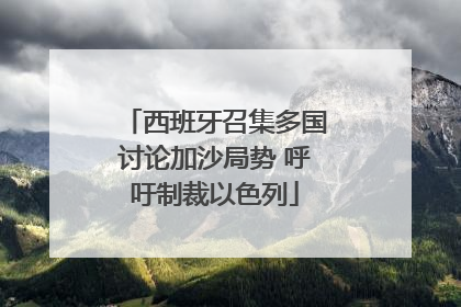西班牙召集多国讨论加沙局势 呼吁制裁以色列