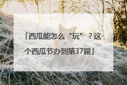西瓜能怎么“玩”？这个西瓜节办到第37届
