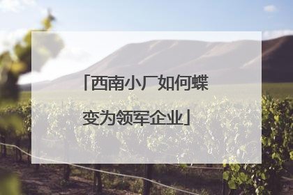 西南小厂如何蝶变为领军企业