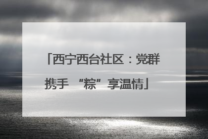 西宁西台社区：党群携手 “粽”享温情