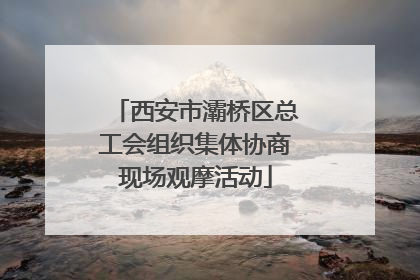 西安市灞桥区总工会组织集体协商现场观摩活动