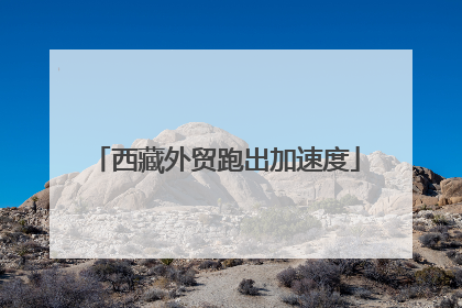西藏外贸跑出加速度