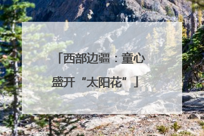 西部边疆：童心盛开“太阳花”
