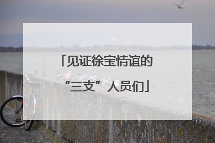 见证徐宝情谊的“三支”人员们