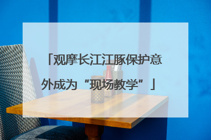 观摩长江江豚保护意外成为“现场教学”