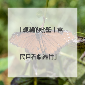 观潮的螃蟹丨富民且看临湘竹