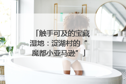 触手可及的宝藏湿地：淀湖村的“魔都小亚马逊”
