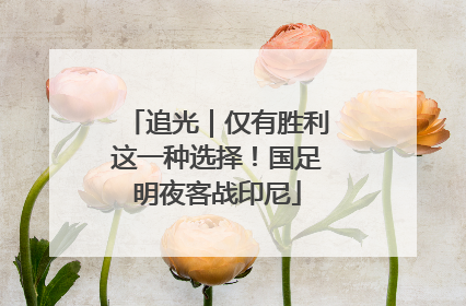 追光｜仅有胜利这一种选择！国足明夜客战印尼