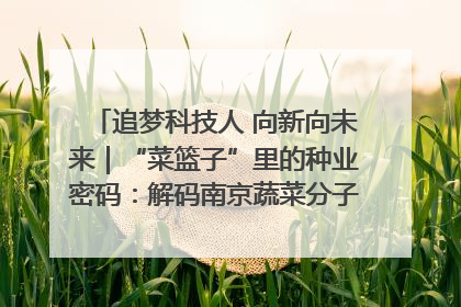 追梦科技人 向新向未来｜“菜篮子”里的种业密码：解码南京蔬菜分子育种的创新之路