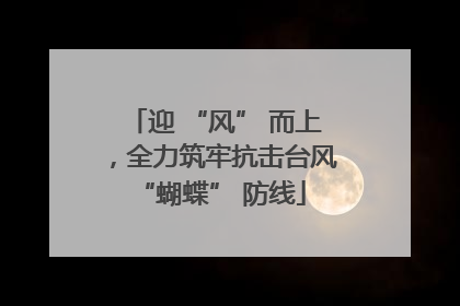 迎 “风” 而上，全力筑牢抗击台风 “蝴蝶” 防线