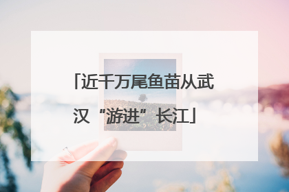 近千万尾鱼苗从武汉“游进”长江