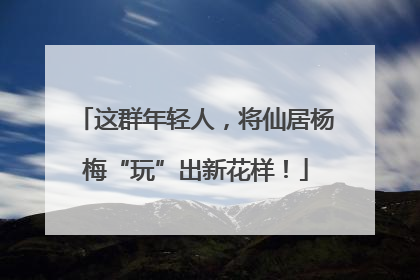 这群年轻人，将仙居杨梅“玩”出新花样！