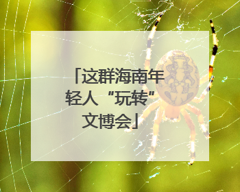 这群海南年轻人“玩转”文博会