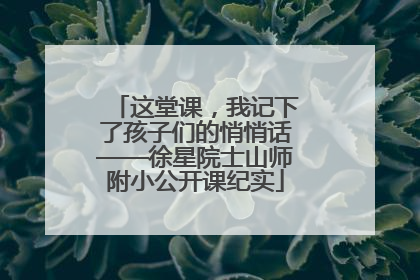 这堂课，我记下了孩子们的悄悄话——徐星院士山师附小公开课纪实